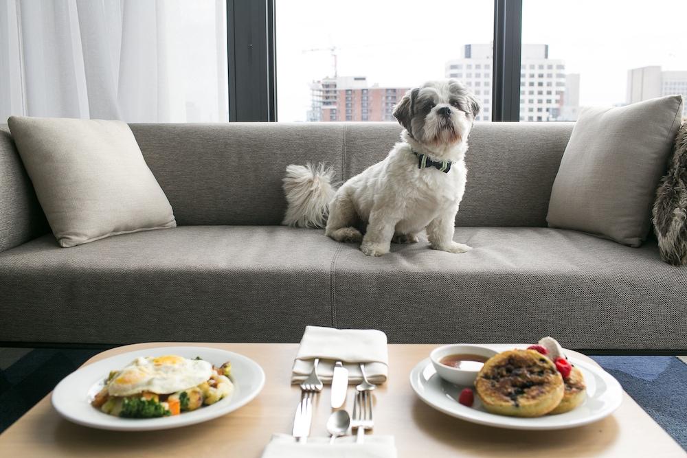 Andaz Ottawa Byward Market, By Hyatt Luaran gambar